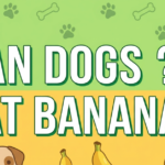 Can Dogs Eat Bananas? A Complete Guide for Pet Owners