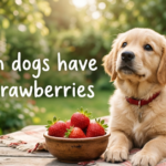 Can Dogs Have Strawberries? Everything You Need to Know