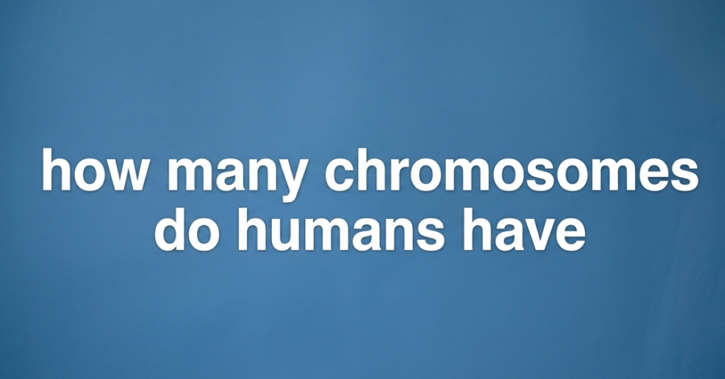 How Many Chromosomes Do Humans Have?