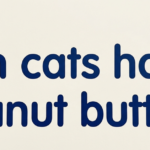 Can Cats Have Peanut Butter? Safety Guide for Owners
