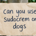 Can You Use Sudocrem on Dogs? A Complete Guide